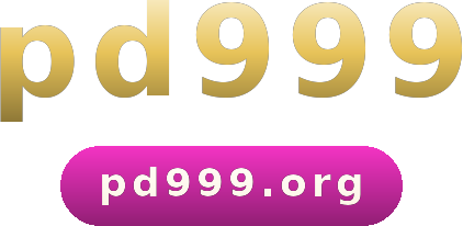 pd999 logo